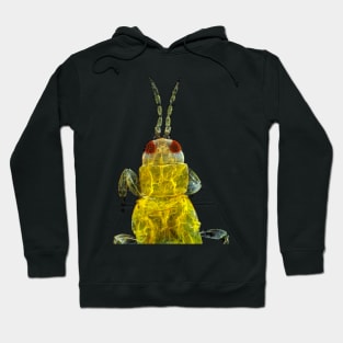 Thrips under the microscope Hoodie